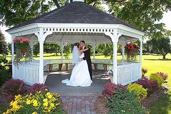 wedding.jpg (35479 bytes)