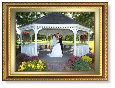 weddingframe1.jpg (39634 bytes)